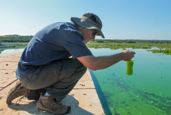 Man examining water quality by holding algae sample near a lake