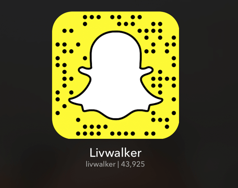 Snapchat QR code with ghost logo and username Livwalker