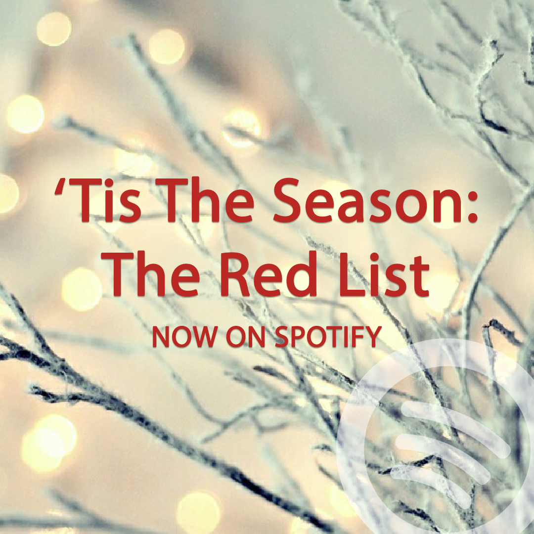 Festive Spotify playlist promotion with twinkling lights and winter branches.