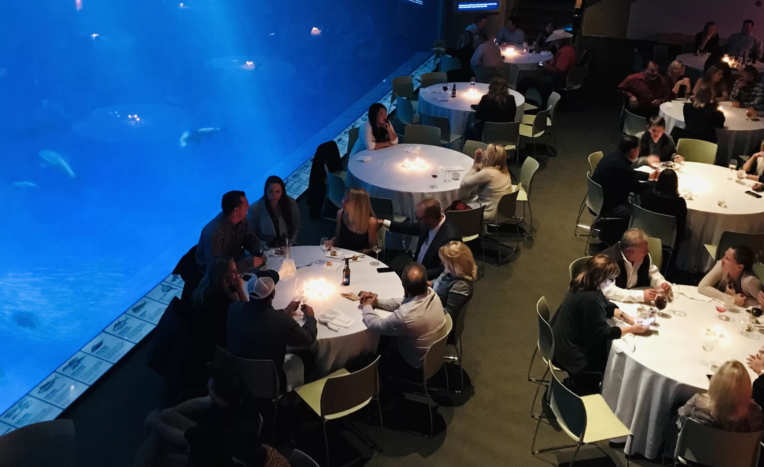 Dining experience at an underwater-themed restaurant with visitors at tables.