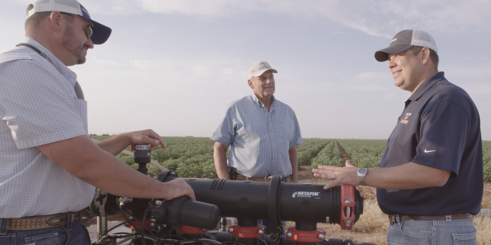 Three farmers discussing irrigation technology in a cotton field