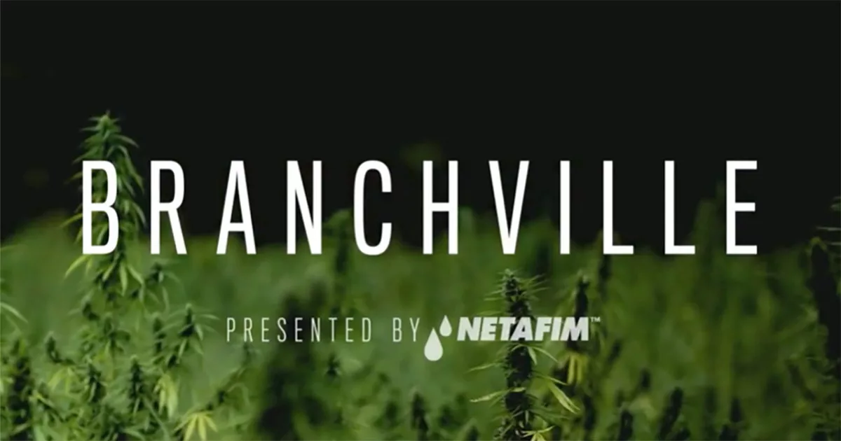 Netafim presents Branchville logo over lush green background