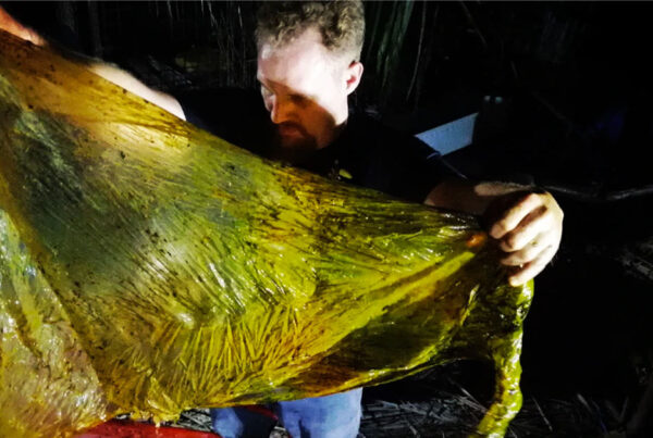 Man holding a large translucent yellow algae specimen at night