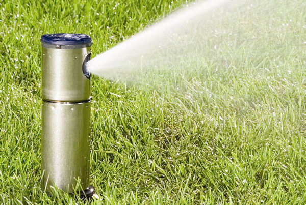 Pop-up lawn sprinkler watering green grass in sunlight