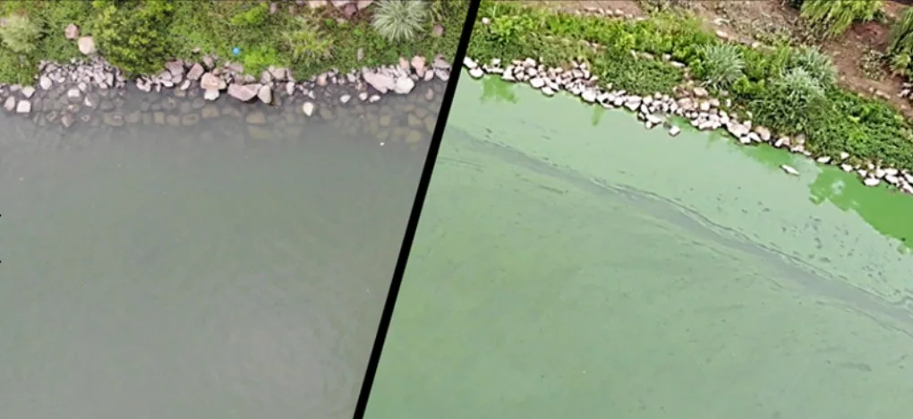 Aerial view of a polluted river divided