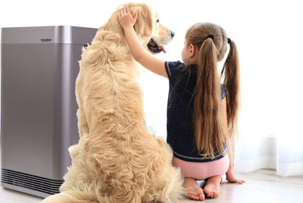 Girl with ponytails petting golden retriever beside an air purifier in a bright room