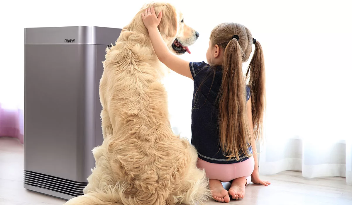 Girl with ponytails petting golden retriever beside an air purifier in a bright room