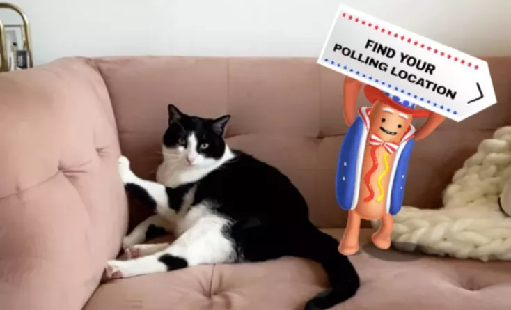 Black and white cat on couch with cartoon hot dog holding a polling location sign