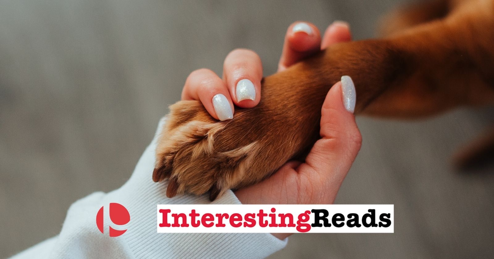 Interesting Reads: Win Over Pet-Loving Customers With Pawfect Marketing Strategies 