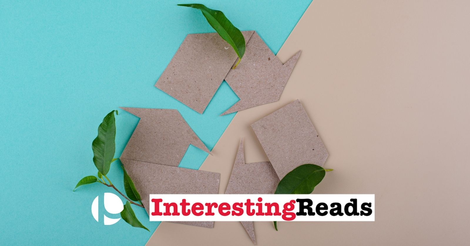 Sustainable Branding: Meeting the Moment with Purpose