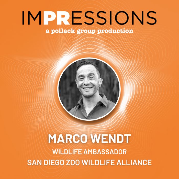 Marco Wendt