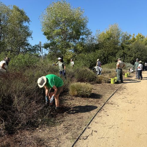 The Pollack Group Me and You Days Volunteering - Jordan