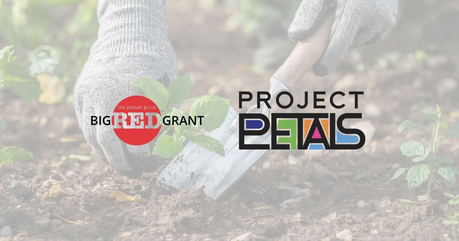 Purpose-Driven PR in Action: The Pollack Group Awards the 2026 Big Red Grant to Project Petals